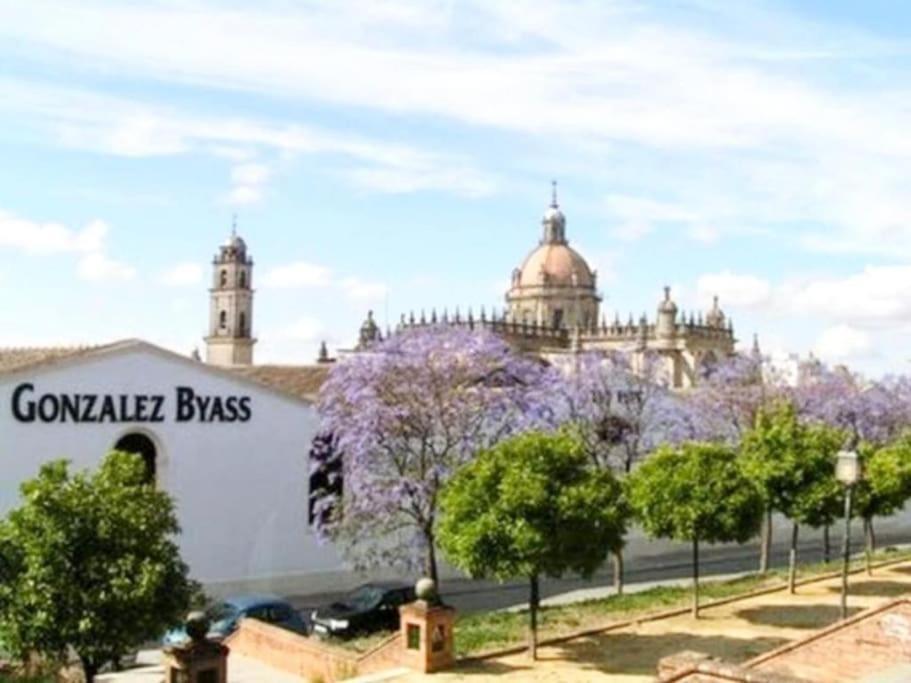 Apartamento Loft Jerez Buleria Lägenhet Jerez de la Frontera Exteriör bild